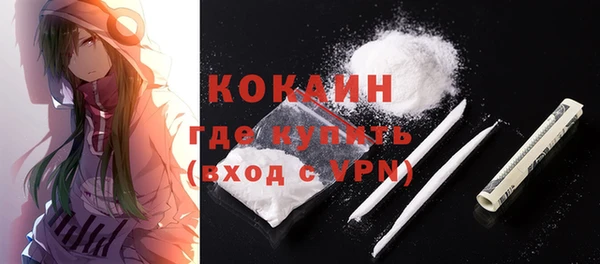 крисы Магадан